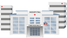 Healthcare Icon
